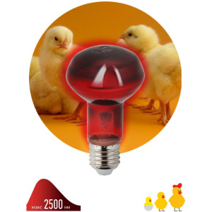 Лампочка инфракрасная  ИКЗК 230-60 R63 Е27